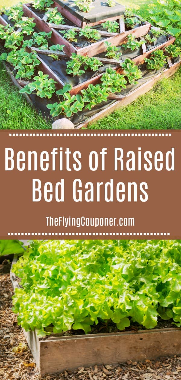 Benefits of Raised Bed Gardens