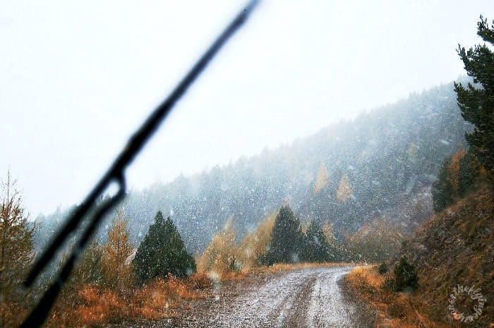 5 Tips for Winter Driving Adults.