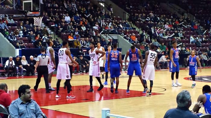 Raptors 905- New Professional Basketball Team. The Flying Couponer.