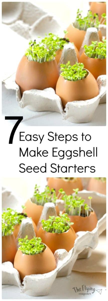 7 Easy Steps to Make Eggshell Seed Starters. The Flying Couponer and Gardening.