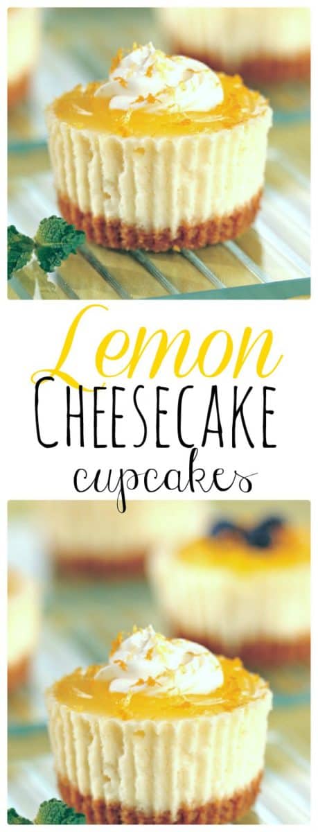 Lemon Cheesecake Cupcakes. 