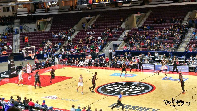 Cheer for the Raptors 905. The Flying Couponer.