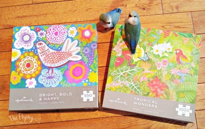 Practice Mindfullness Every Day. The Flying Couponer.