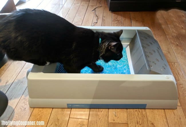 My Cat Loves ScoopFree Original Self-Cleaning Litter Box