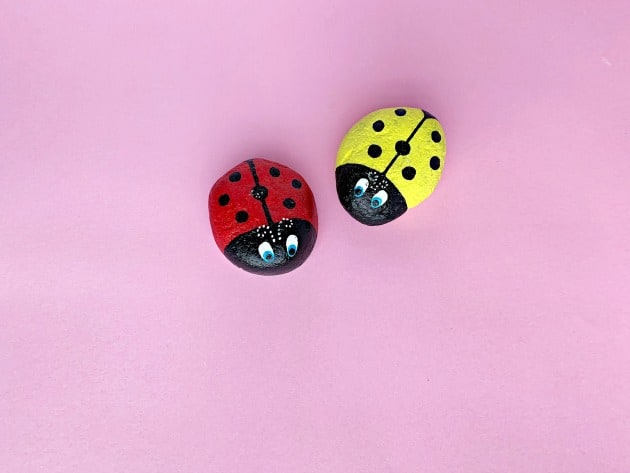 Ladybug Painted Rocks