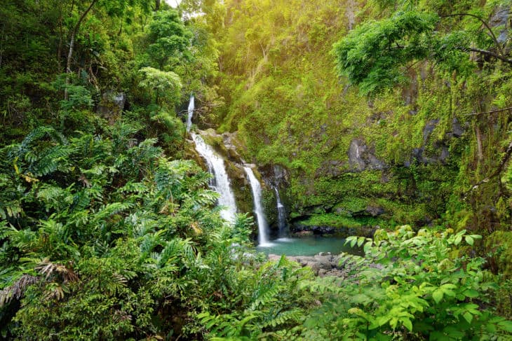 Best Things To Do In Hawaii With Kids